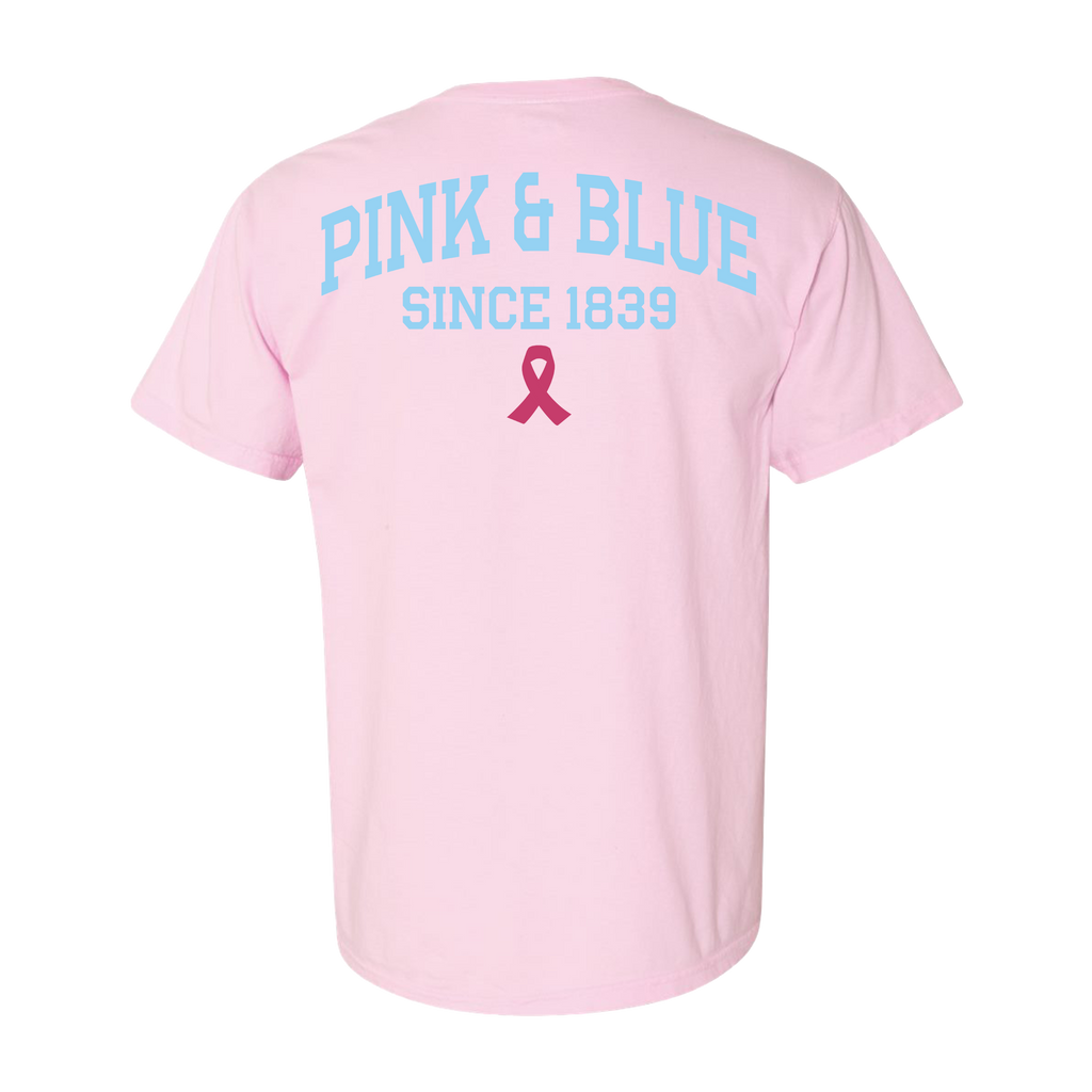 Beta Theta Pi Men of Principle Pink and Blue Tee
