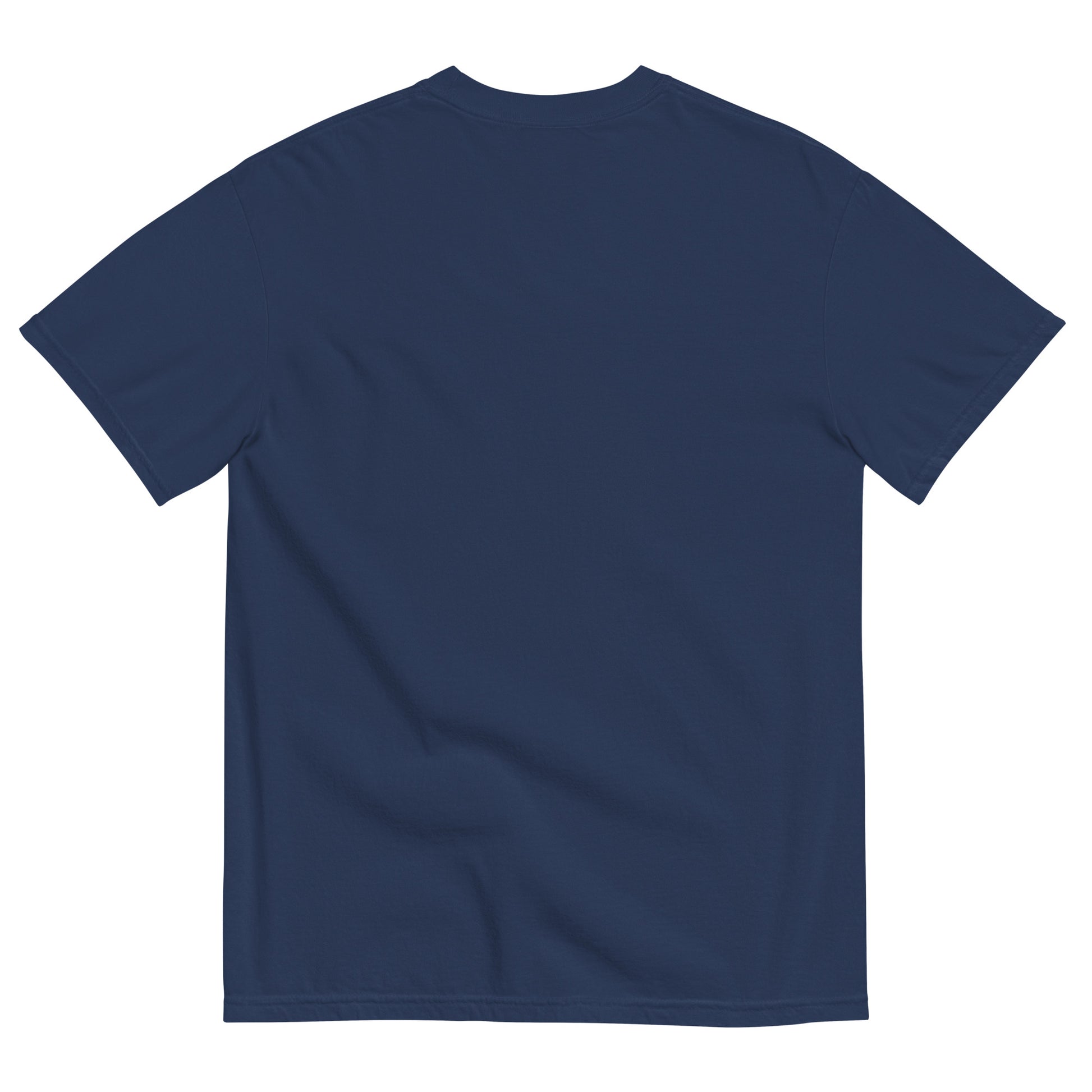 Beta Dad T-Shirt